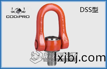 DSS鏇轉(zhuan)弔環(huan)